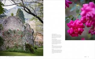 Roses in the Garden фото книги 5