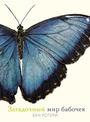 Загадочный мир бабочек фото книги