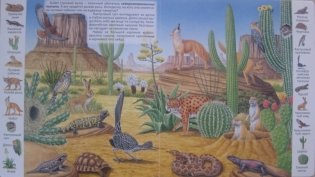 Животные и растения пустыни фото книги 2