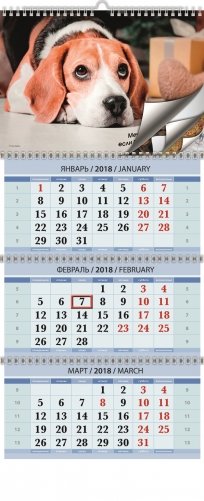 Год собаки. Календарь квартальный трехблочный настенный с ригелем на 2018 год фото книги