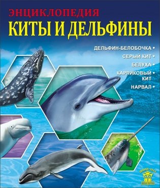 Энциклопедия. Киты и дельфины фото книги