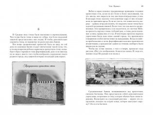 Побежденный фото книги 6