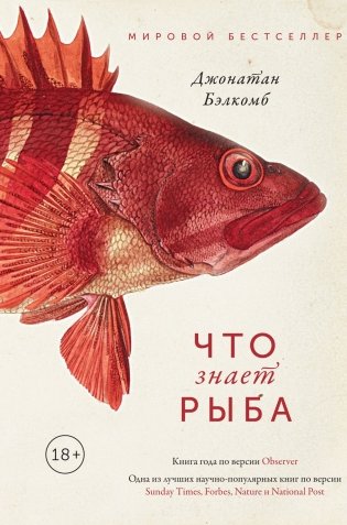Что знает рыба фото книги