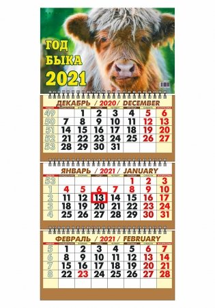 Календарь настенный "Символ года. Тинейджер" на 2021 год фото книги