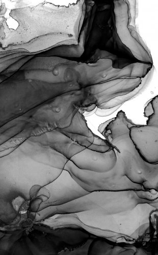 Молчание костей фото книги 2