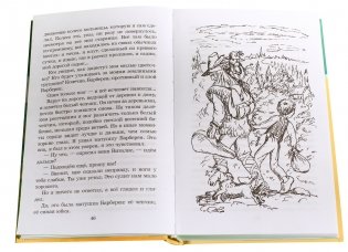 Без семьи фото книги 3