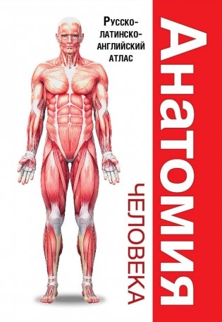 Анатомия человека. Русско-латинско-английский атлас фото книги