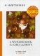 A Wonder Book for Girls and Boys фото книги маленькое 2