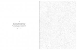 Mystery Coloring Flowers фото книги 7