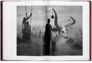 Sebastiao Salgado. Genesis фото книги 8