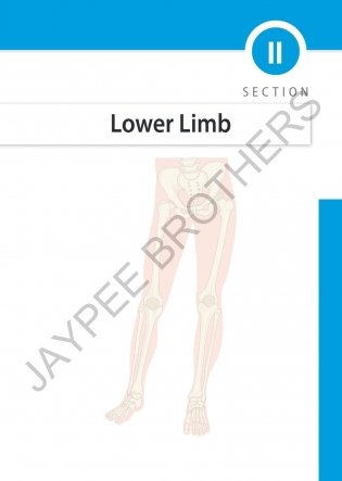 Early Clinical Exposure A Case Based Approach In Clinical Anatomy фото книги 7