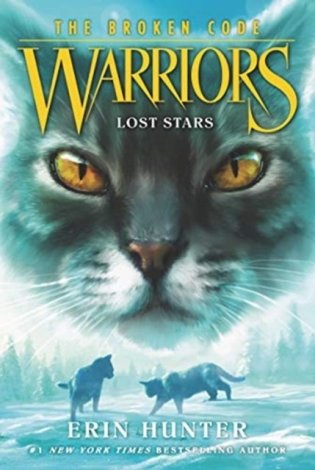 Lost Stars фото книги