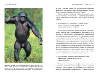 Help! Мой босс – обезьяна! Социальное поведение на работе с точки зрения биологии фото книги 7