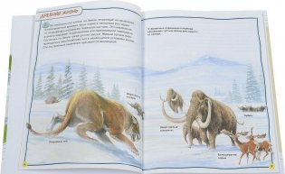 Доисторические животные. 100 фактов фото книги 2