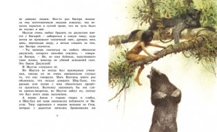 История Маугли фото книги 6