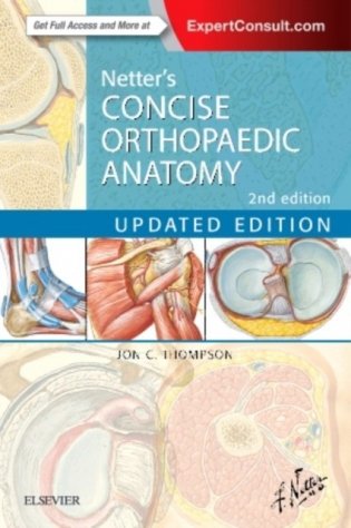Netter's Concise Orthopaedic Anatomy фото книги