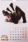 Календарь на 2020 год "Малыши" (КР21-20027) фото книги маленькое 4