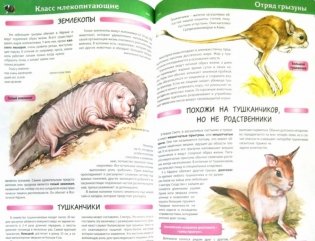 Большая детская энциклопедия животных фото книги 4