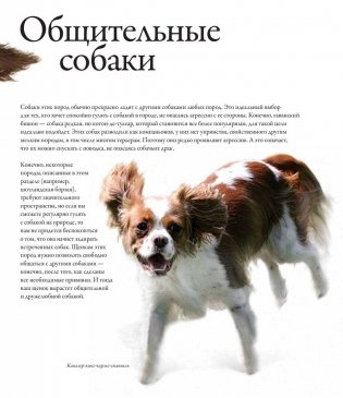 Все породы собак фото книги 10