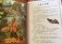 Русские народные сказки (на китайском языке) фото книги маленькое 3