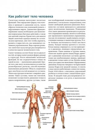 Анатомия тренировок со свободными отягощениями фото книги 5