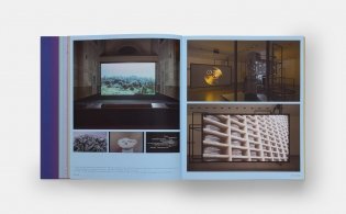 Vitamin V: Video and the Moving Image in Contemporary Art фото книги 3