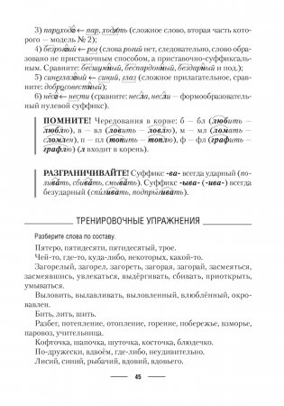 Русский язык ЦЭ, ЦТ. Теория. Примеры. Тесты фото книги 7