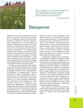 Большая иллюстрированная энциклопедия лекарственных растений фото книги 5