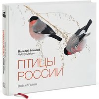 Птицы России фото книги