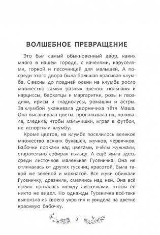 Волшебное превращение фото книги 3