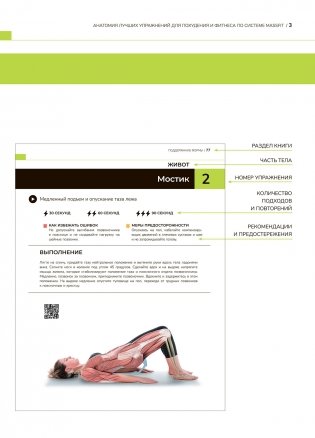 Анатомия лучших упражнений для похудения и фитнеса по системе Massfit фото книги 4