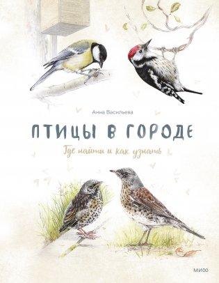 Птицы в городе. Где найти и как узнать фото книги