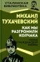 Как мы разгромили Колчака. Уроки Гражданской войны фото книги маленькое 2