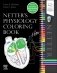 Netter's Physiology Coloring Book фото книги маленькое 2