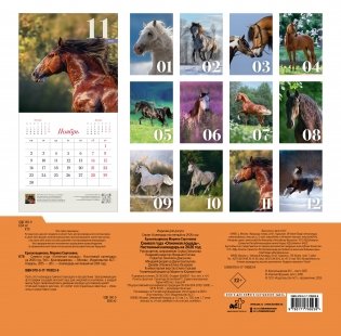 Символ года "Огненная лошадь". Настенный календарь на 2026 год фото книги 4