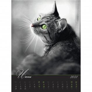 Загадочные кошки. Календарь настенный на пружине на 2021 год фото книги 6
