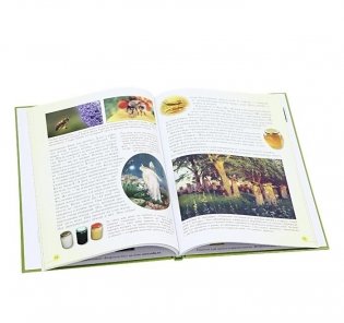 Домашние животные фото книги 3