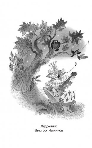 Вниз по волшебной реке фото книги 3