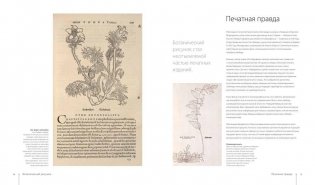 Ботаника для художника. Полное руководство по рисованию растений фото книги 8