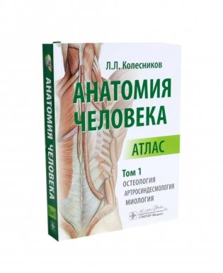 Анатомия человека: Атлас. В 3 т. (комплект из 3-х книг) фото книги