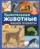 Удивительные животные нашей планеты фото книги маленькое 2