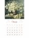 Календарь на 2021 год с акварелями Елены Базановой. Для вдохновения фото книги маленькое 4