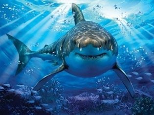 Пазл "Большая белая акула", 500 элементов фото книги 2