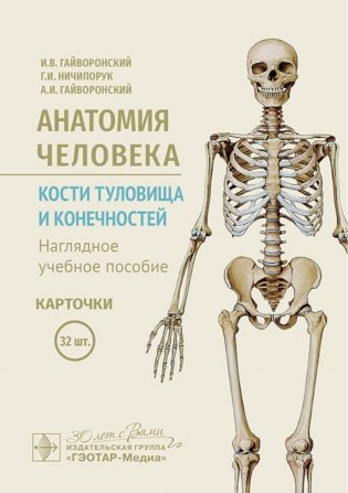 Анатомия человека. Кости туловища и конечностей. Карточки: Наглядное учебное пособие фото книги
