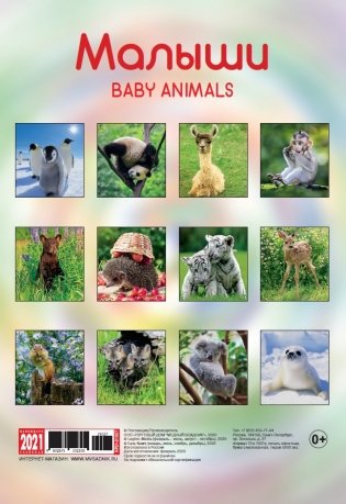 Календарь на 2021 год "Малыши" (КР21-21027) фото книги 2