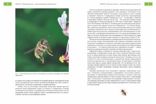 Феномен медоносной пчелы. Биология суперорганизма фото книги 3