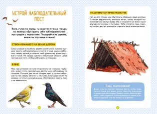 Птицы фото книги 6