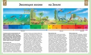 Универсальная школьная энциклопедия фото книги 4