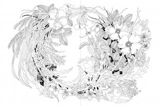 Leila Duly’s Walk in the Woods colouring book фото книги 4