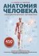 Анатомия человека. Опорно-двигательный аппарат, внутренние органы фото книги маленькое 2